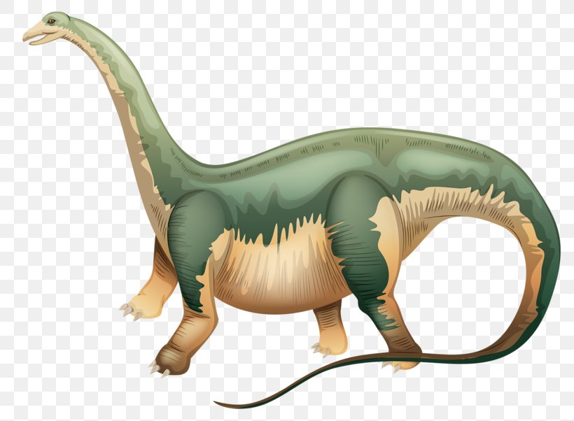 Apatosaurus Brachiosaurus Dinosaur Clip Art, PNG, 800x602px, Apatosaurus, Brachiosaurus, Dinosaur, Extinction, Fauna Download Free