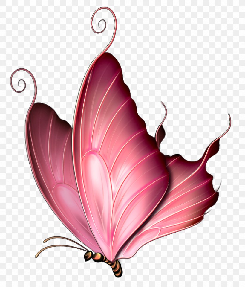 Butterfly Insect Pink Purple Clip Art, PNG, 852x998px, Butterfly, Butterflies And Moths, Color, Flower, Free Download Free