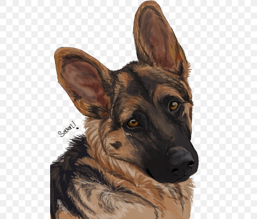 German Shepherd Kunming Wolfdog Dog Breed Painting, PNG, 500x700px, German Shepherd, Art, Breed, Carnivoran, Dog Download Free