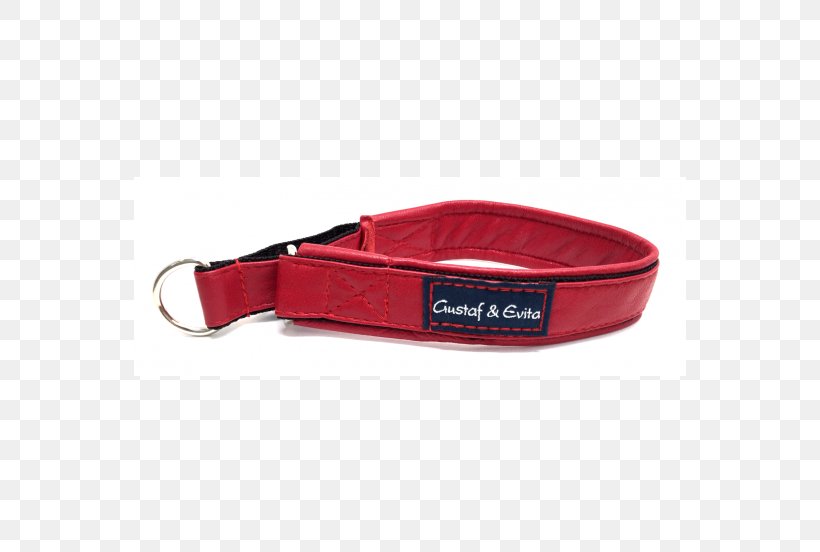 Leash Dog Collar Red Dog Collar, PNG, 552x552px, Leash, Collar, Color, Dog, Dog Collar Download Free