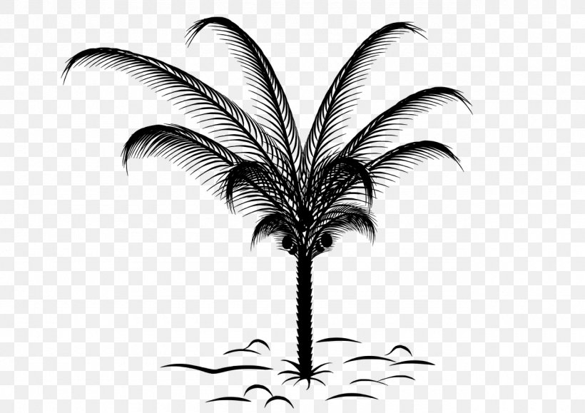 Paper Arecaceae Palm Branch Sketch, PNG, 1280x905px, Paper, Arecaceae, Black And White, Branch, Fanleaved Palms Download Free