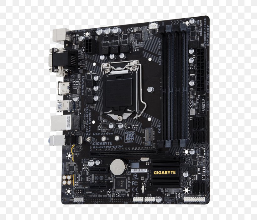 Intel LGA 1151 MicroATX Motherboard GIGABYTE GA-B250M-DS3H, PNG, 700x700px, Intel, Atx, Central Processing Unit, Computer Accessory, Computer Component Download Free