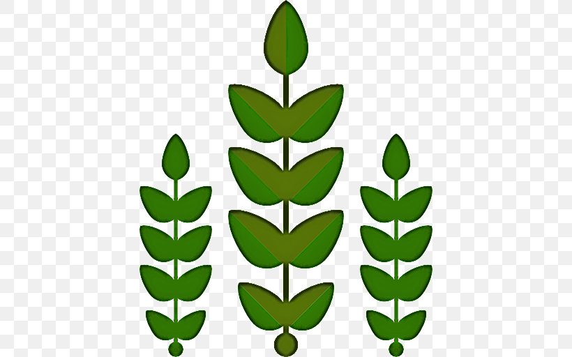 Leaf Green Plant Flower Tree, PNG, 512x512px, Leaf, Flower, Green, Plant, Plant Stem Download Free