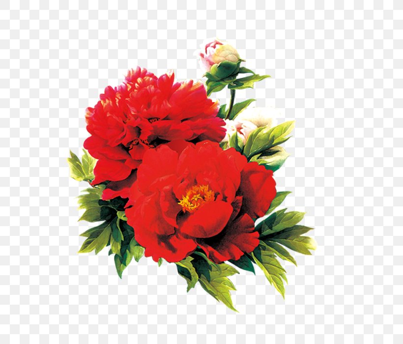 Moutan Peony Red Download, PNG, 700x700px, Moutan Peony, Annual Plant, Artificial Flower, Blue, Carnation Download Free
