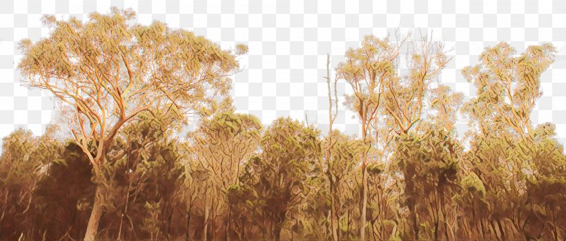 Nature Natural Landscape Grass Tree Field, PNG, 2000x856px, Cartoon, Field, Grass, Grass Family, Natural Landscape Download Free