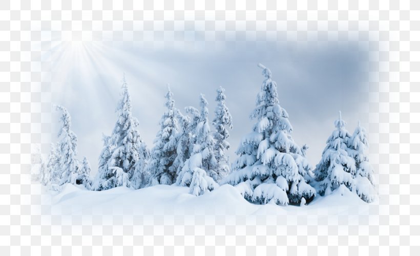 Ultraviolet Winter Snow Royalty-free Clip Art, PNG, 800x500px, Ultraviolet, Arctic, Conifer, Evergreen, Eye Download Free