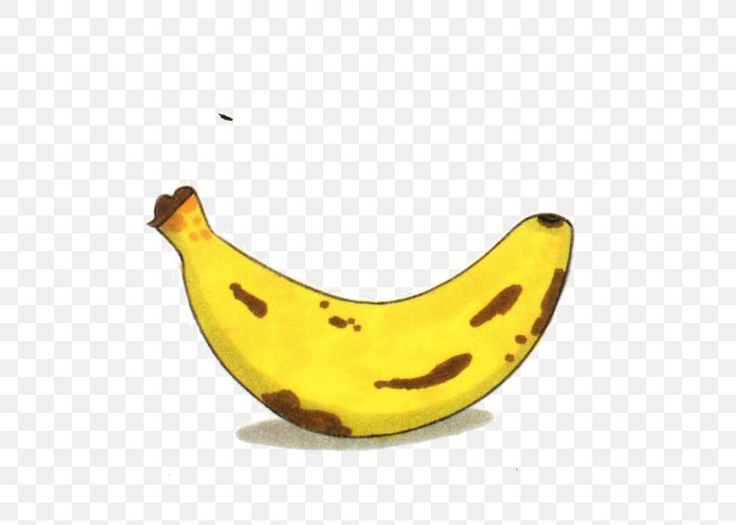 Banana Drawing Fruit Food, PNG, 564x585px, Banana, Animation, Auglis, Banana Family, Biscuit Download Free