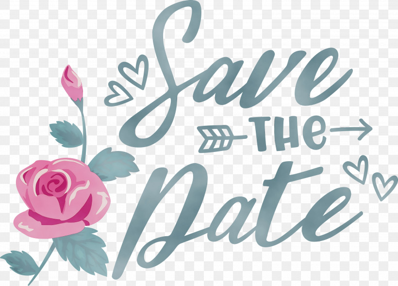 Garden Roses, PNG, 3000x2163px, Save The Date, Cut Flowers, Floral Design, Flower, Garden Download Free