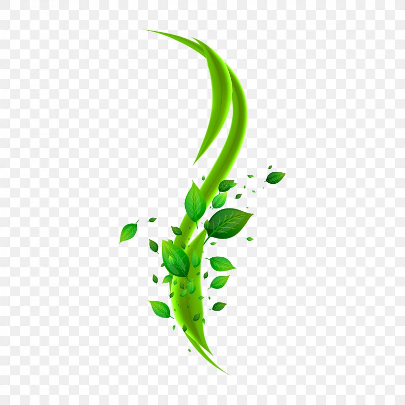 Leaf Clip Art Green Curve, PNG, 1654x1654px, Leaf, Branch, Color, Curve, Flora Download Free