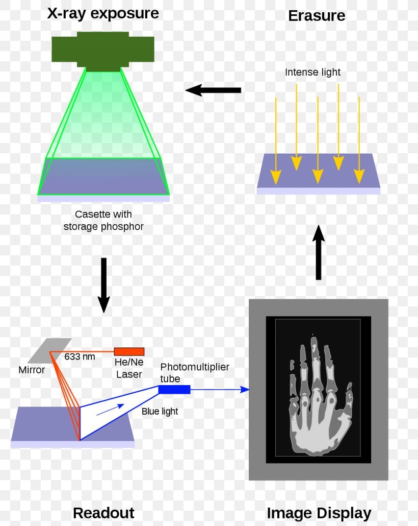 Photostimulated Luminescence Computed Radiography Industrial Computed Tomography, PNG, 1025x1288px, Photostimulated Luminescence, Area, Computed Radiography, Computed Tomography, Diagram Download Free