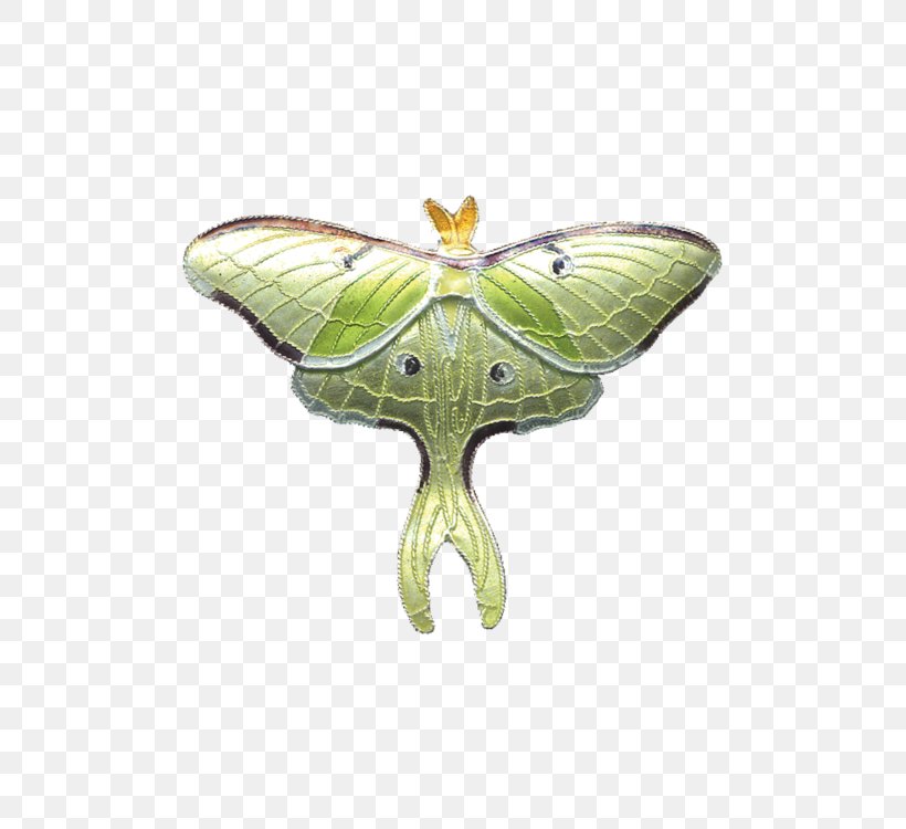Silkworm Brush-footed Butterflies Butterfly Moth, PNG, 750x750px, Silkworm, Arthropod, Bombycidae, Brush Footed Butterfly, Brushfooted Butterflies Download Free