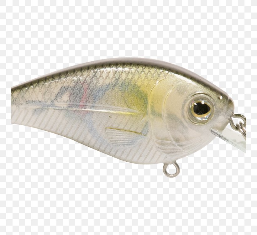Spoon Lure Oily Fish Perch AC Power Plugs And Sockets, PNG, 750x750px, Spoon Lure, Ac Power Plugs And Sockets, Bait, Fin, Fish Download Free