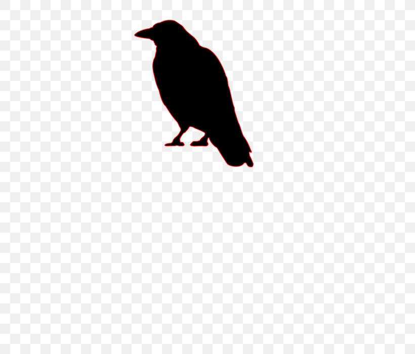 American Crow Bird Common Raven Clip Art, PNG, 495x700px, American Crow, Beak, Bird, Carrion Crow, Common Raven Download Free