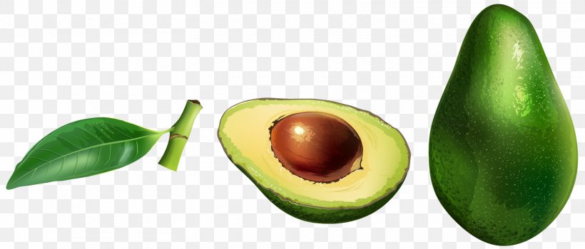 Avocado Auglis, PNG, 1619x692px, Avocado, Adobe Systems, Auglis, Cartoon, Creative Work Download Free