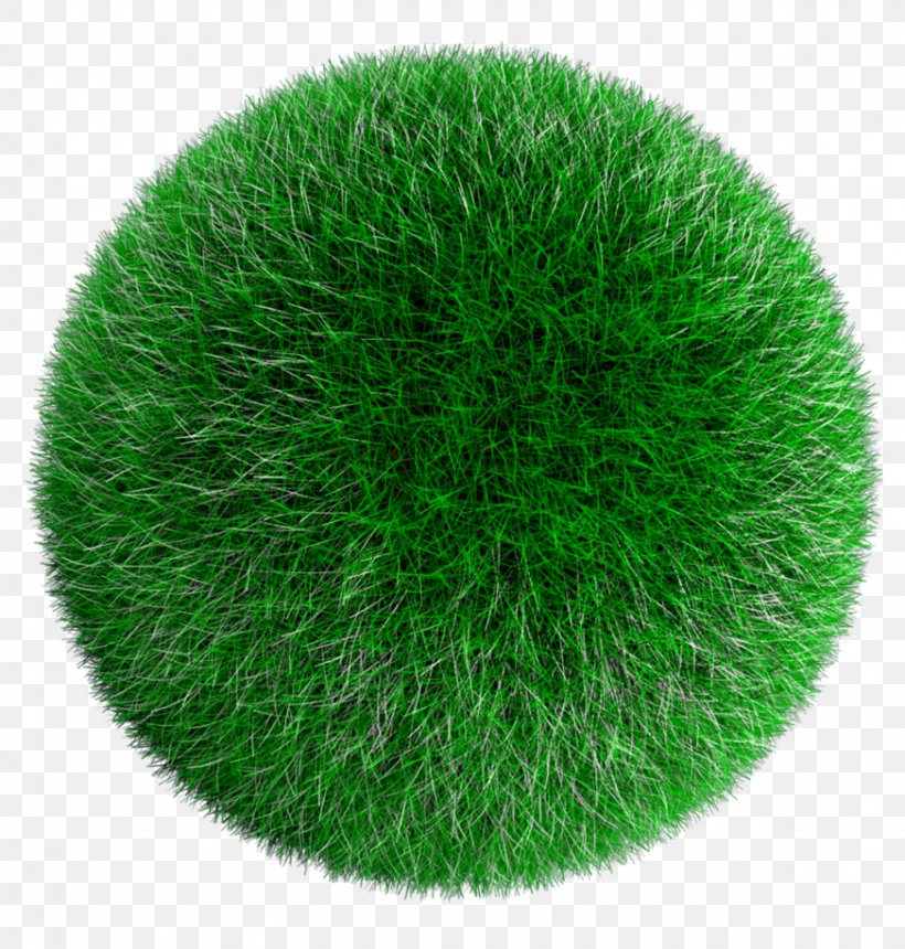 Ball Lawn Sphere, PNG, 873x916px, Ball, Football, Football Pitch, Grass, Grass Family Download Free