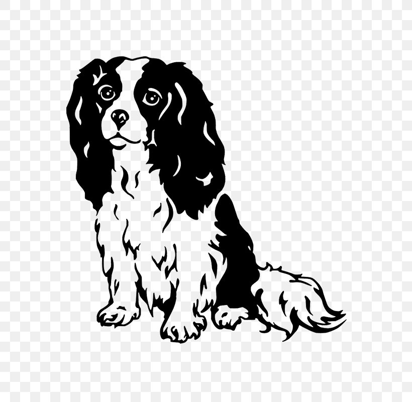 Cavalier King Charles Spaniel English Springer Spaniel Puppy Dog Breed, PNG, 800x800px, Cavalier King Charles Spaniel, Bicolor Cat, Black, Black And White, Breed Download Free