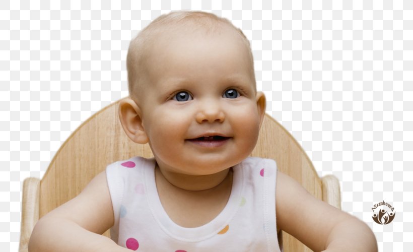 Desktop Wallpaper Child Infant Deciduous Teeth, PNG, 800x500px, Watercolor, Cartoon, Flower, Frame, Heart Download Free