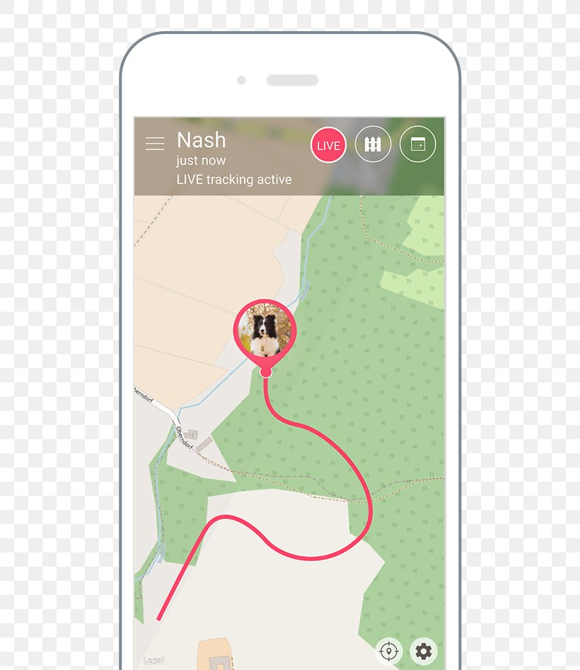 Dog GPS Navigation Systems GPS Tracking Unit Global Positioning System Cat, PNG, 600x946px, Dog, Android, Car, Cat, Global Positioning System Download Free