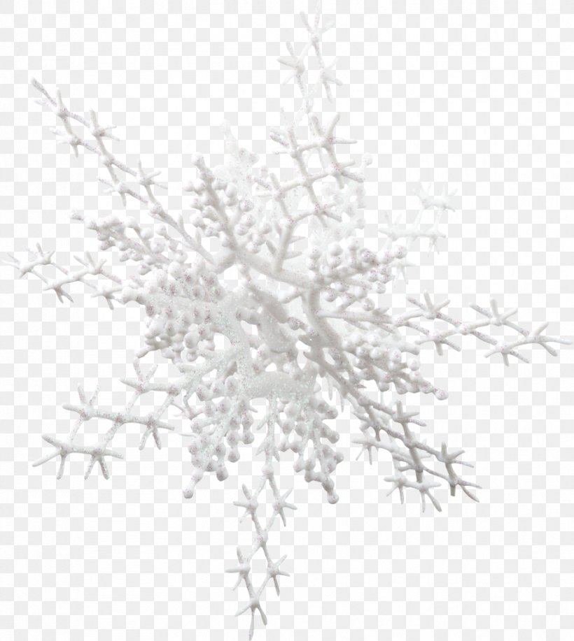 Snowflake Lovat River Clip Art, PNG, 915x1024px, Snowflake, Arboretum, Black And White, Branch, Depositfiles Download Free