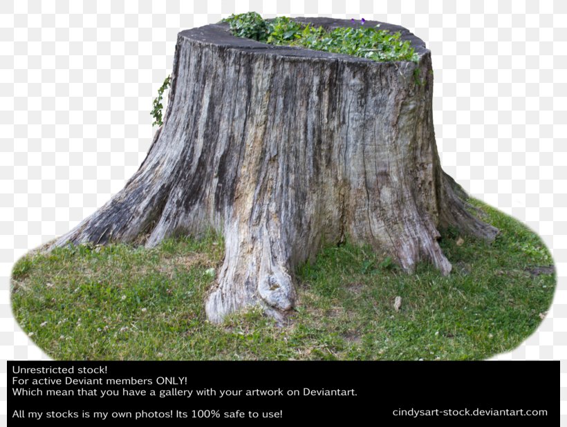 Tree Stump Photography Clip Art, PNG, 800x618px, Tree Stump, Data Compression, Deviantart, Grass, Photography Download Free