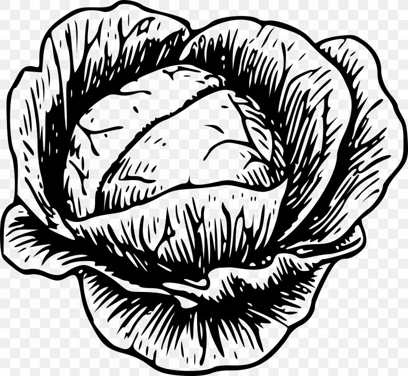 Cabbage Vegetable Drawing Clip Art, PNG, 2400x2214px, Watercolor, Cartoon, Flower, Frame, Heart Download Free