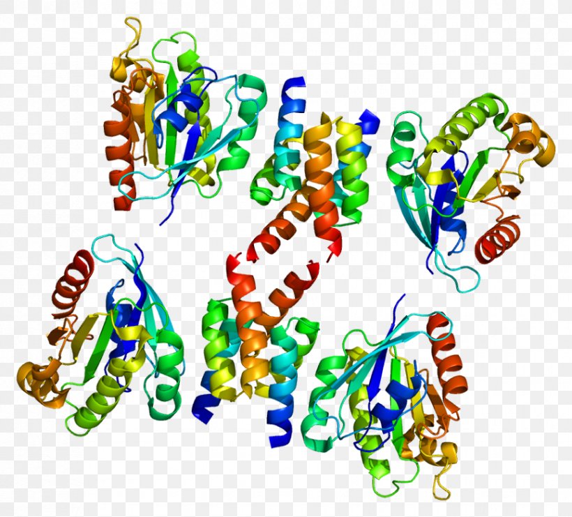 GOLGA4 ARL1 GOLGA1 Golgi Apparatus ADP Ribosylation Factor, PNG, 865x782px, Watercolor, Cartoon, Flower, Frame, Heart Download Free
