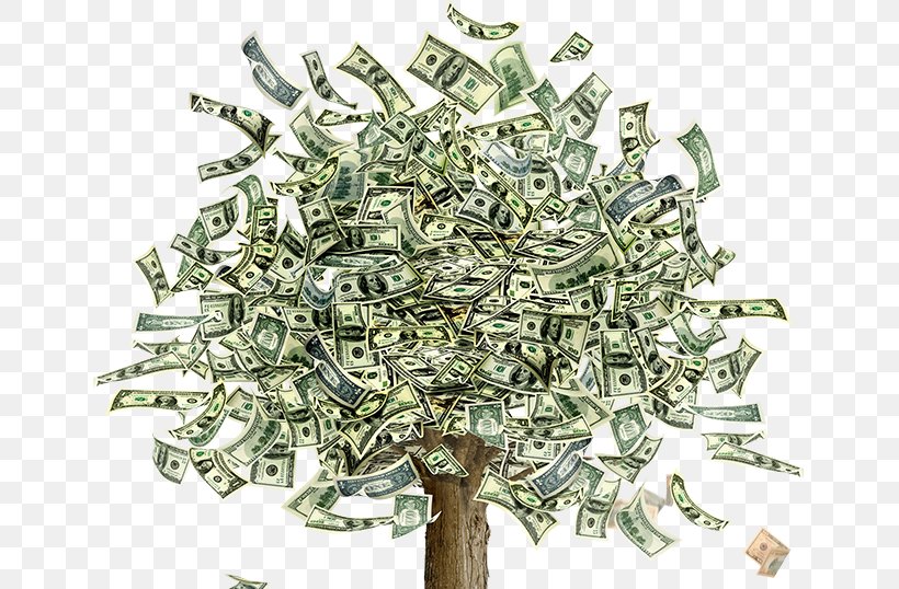 Money Guiana Chestnut Investment Debt Consolidation Tree, PNG, 649x538px, Money, Bonsai, Cash, Credit Card, Currency Download Free