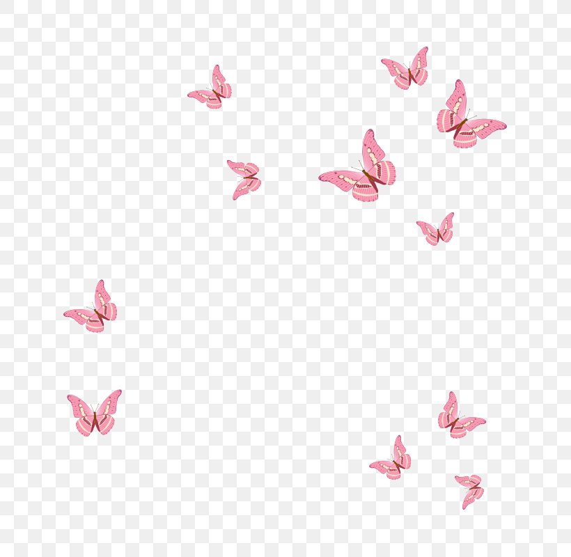 Butterfly, PNG, 800x800px, Butterfly, Flower, Heart, Petal, Pink Download Free