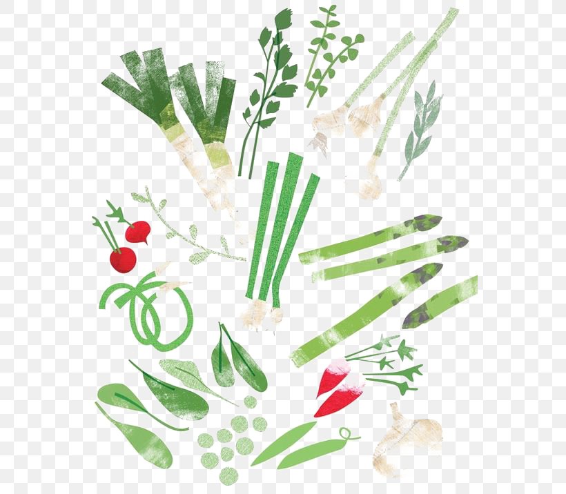 Drawing Art Food Vegetable Illustration, PNG, 564x716px, Drawing, Art, Branch, Caricature, Collage Download Free