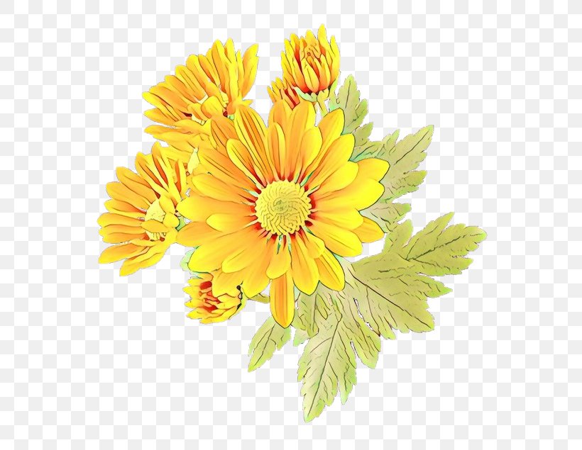 Flower Flowering Plant Gerbera Yellow Barberton Daisy, PNG, 635x635px, Cartoon, Barberton Daisy, Cut Flowers, English Marigold, Flower Download Free