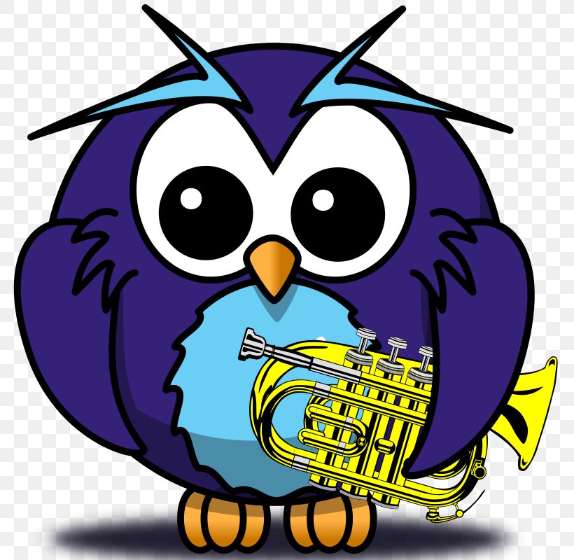 Little Owl Beak Eastern Screech Owl Clip Art, PNG, 800x800px, Owl, Animal, Artwork, Beak, Bird Download Free