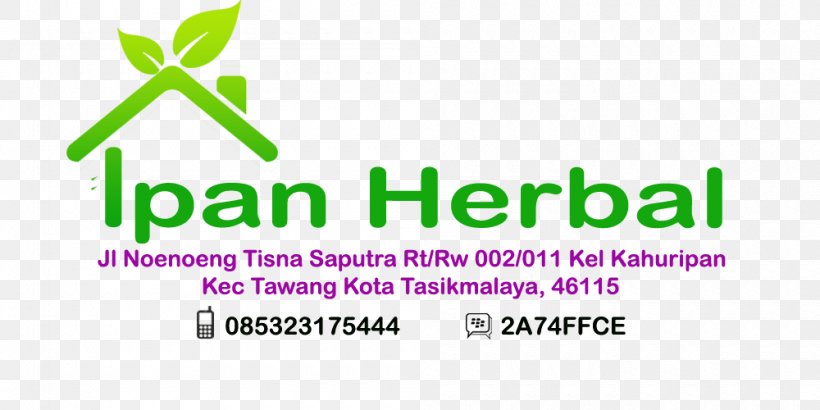 Logo West Java Brand Green Font, PNG, 1000x500px, Logo, Area, Brand, Diagram, Grass Download Free