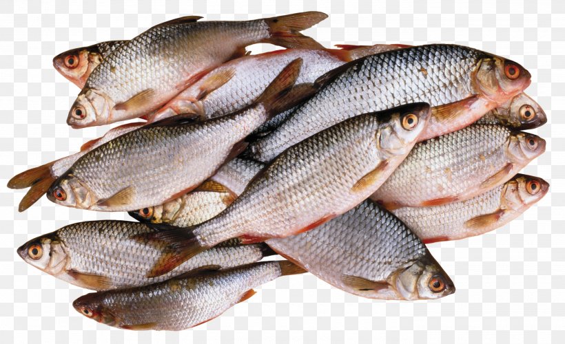 Barbecue Seafood Fish As Food, PNG, 2800x1710px, Barbecue Grill, Animal Source Foods, Carp, Fish, Fish Products Download Free