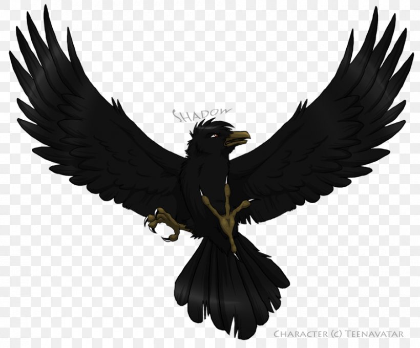 Bird Common Raven Flight Wing Photography, PNG, 900x747px, Bird, Beak, Bird Of Prey, Common Raven, Crow Download Free
