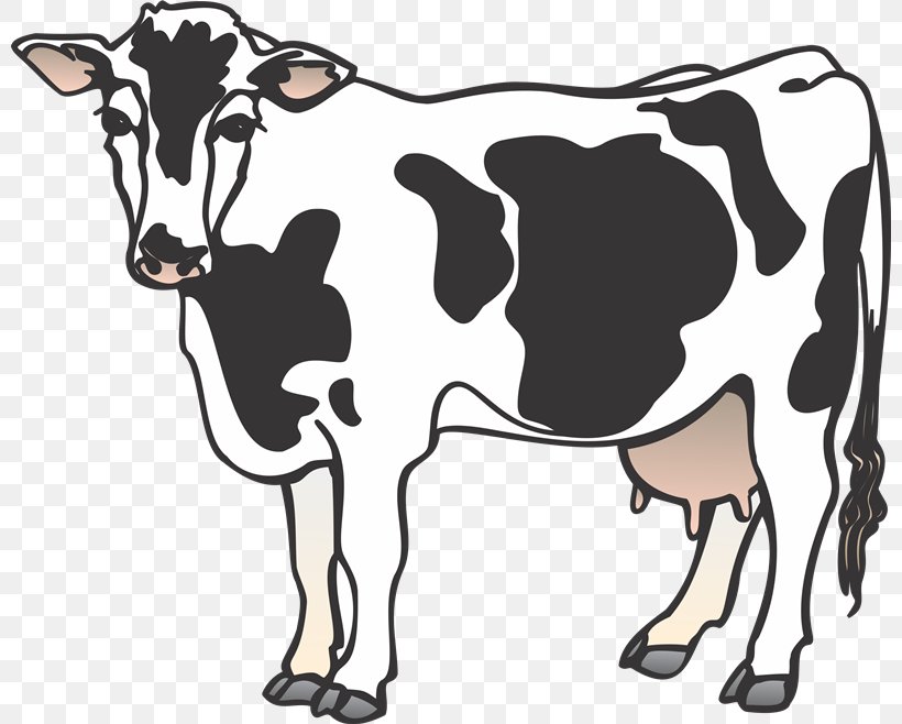 Cattle Clip Art, PNG, 800x658px, Cattle, Blog, Bull, Calf, Cattle Like Mammal Download Free