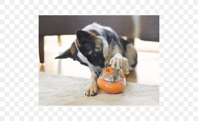 Dog Toys Dog Breed Kong Company Sheriff Woody, PNG, 500x500px, Dog Toys, Ball, Carnivoran, Dog, Dog Breed Download Free