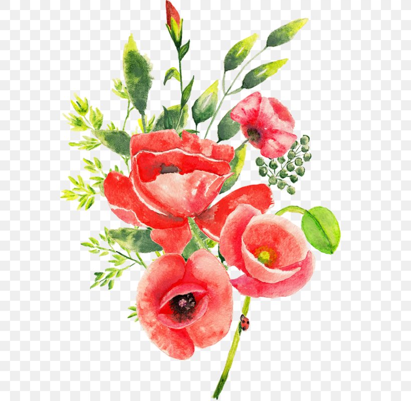 Floral Design Cut Flowers Watercolor Painting, PNG, 582x800px, Floral Design, Art, Artificial Flower, Cut Flowers, Floristry Download Free