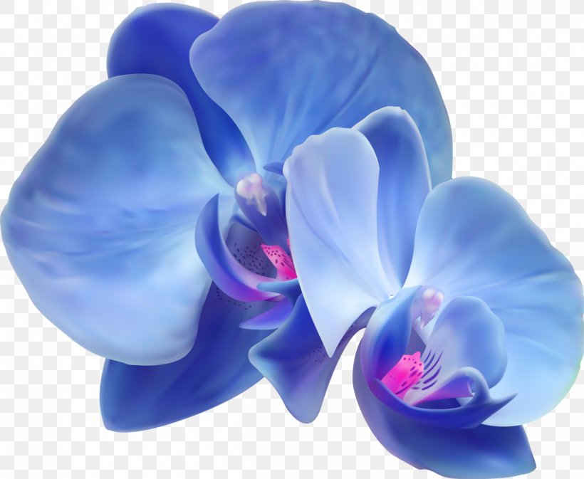Orchids Artificial Flower, PNG, 1200x985px, Orchids, Albom, Artificial Flower, Blue, Cobalt Blue Download Free