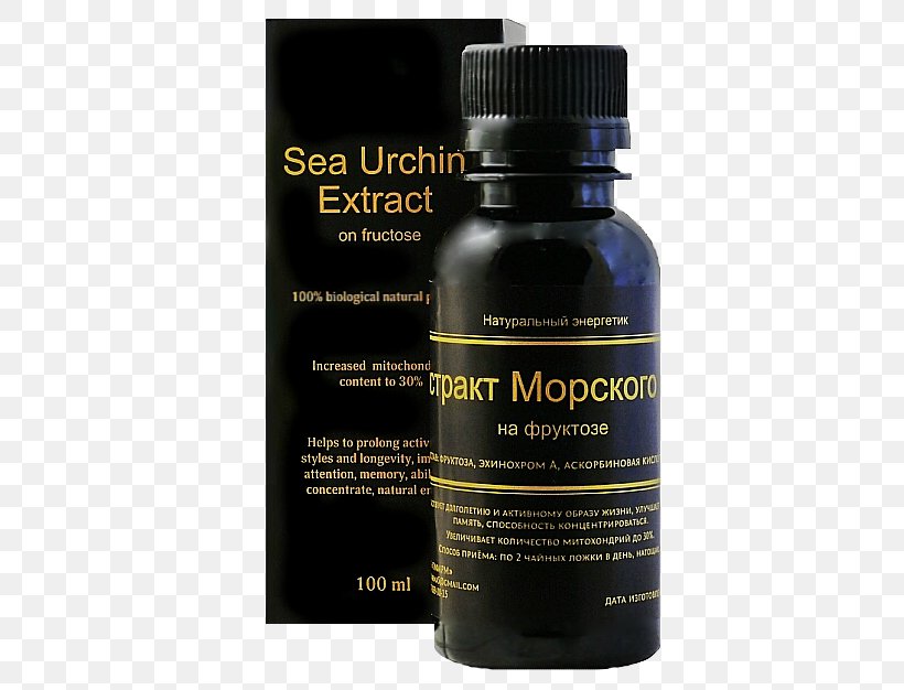 Sea Urchin Extract Health Longevity, PNG, 538x626px, Sea Urchin, Extract, Food, Health, Liquid Download Free