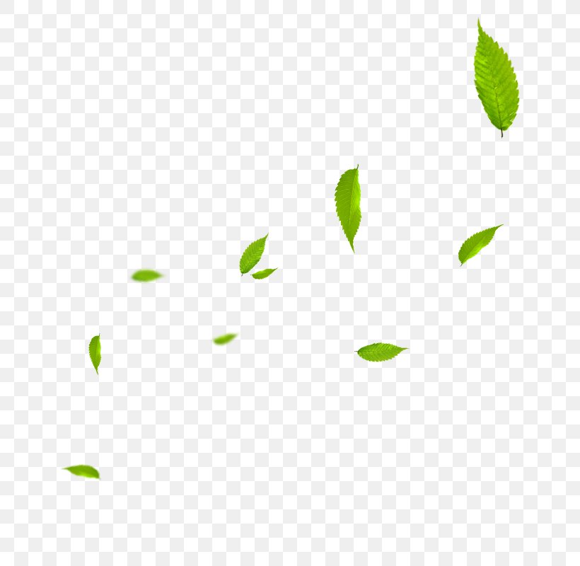 Download Watermark, PNG, 800x800px, Watermark, Designer, Drawing, Grass, Gratis Download Free