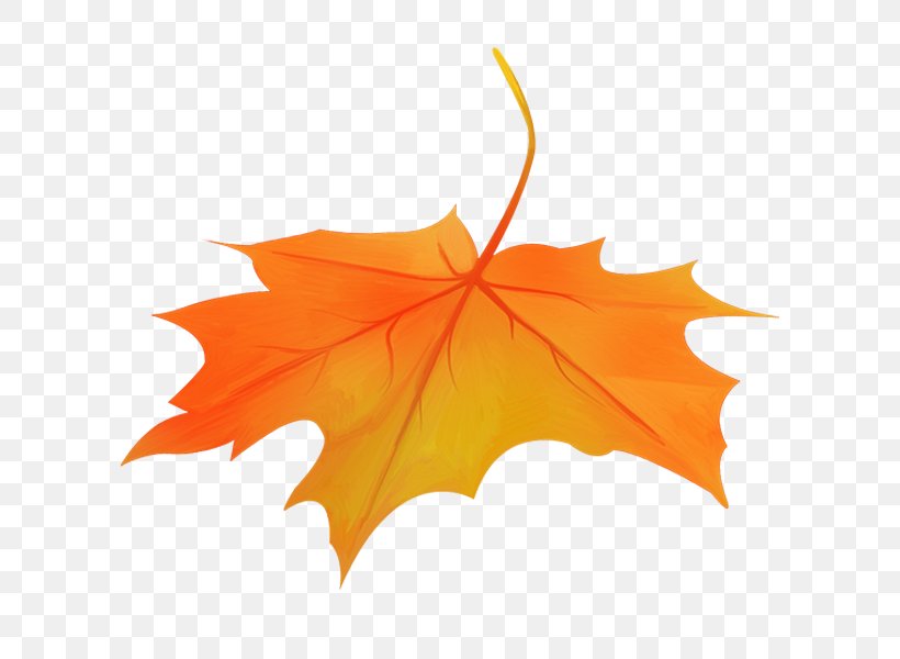 Maple Leaf Stock Photography Royalty-free, PNG, 600x600px, Maple Leaf, Advertising, Autumn, Depositphotos, Flowering Plant Download Free