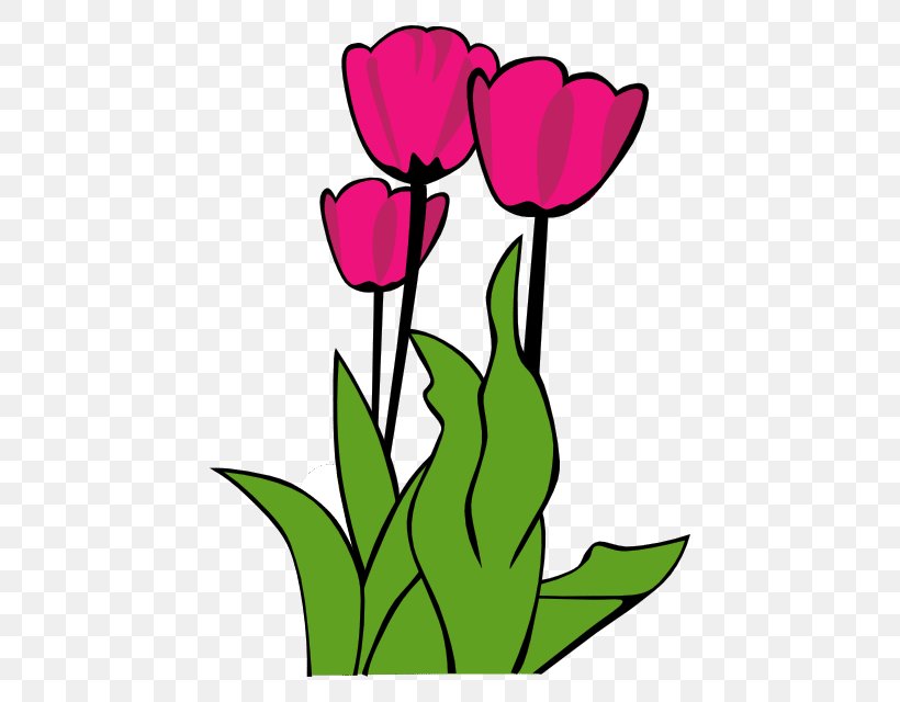 Clip Art Openclipart Tulip Free Content Image, PNG, 484x640px, Tulip, Artwork, Cut Flowers, Document, Flora Download Free