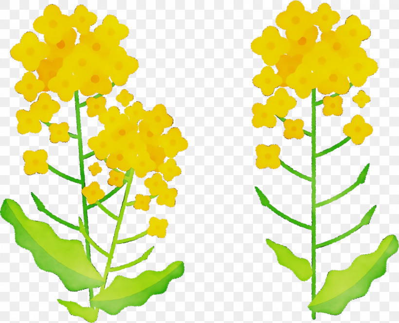 Cut Flowers Plant Stem Leaf Petal Flower, PNG, 1600x1296px, Watercolor, Biology, Cut Flowers, Flower, Leaf Download Free