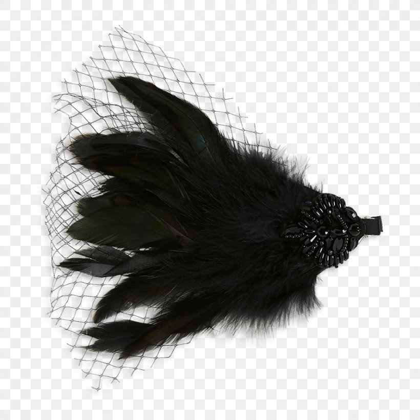 Feather White Black M, PNG, 888x888px, Feather, Black, Black And White, Black M, Tail Download Free
