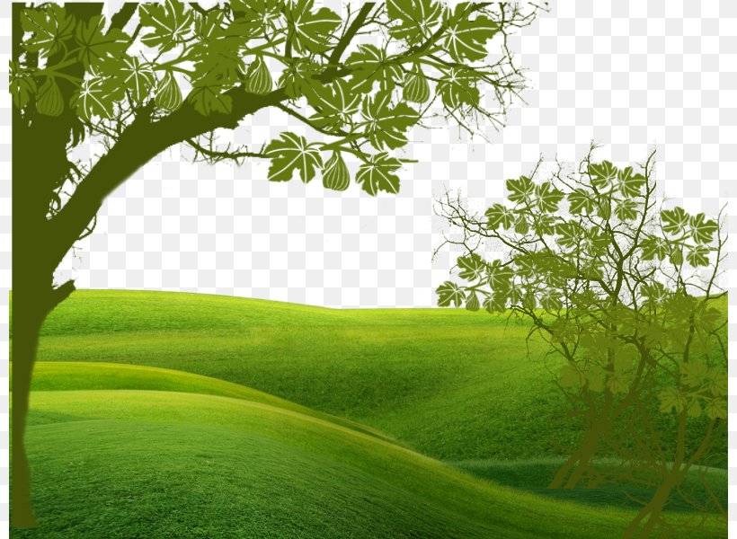 Green Euclidean Vector, PNG, 800x600px, Green, Energy, Field, Grass, Grass Family Download Free