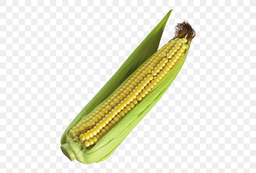 Maize Popcorn Vegetable Cereal, PNG, 760x554px, Maize, Cereal, Commodity, Corn Kernel, Corn Kernels Download Free