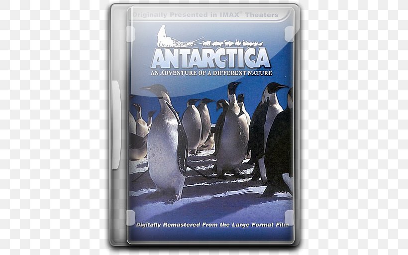 Penguin Antarctica Adventure Film, PNG, 512x512px, Penguin, Adventure Film, Advertising, Antarctic, Antarctic Flora Download Free