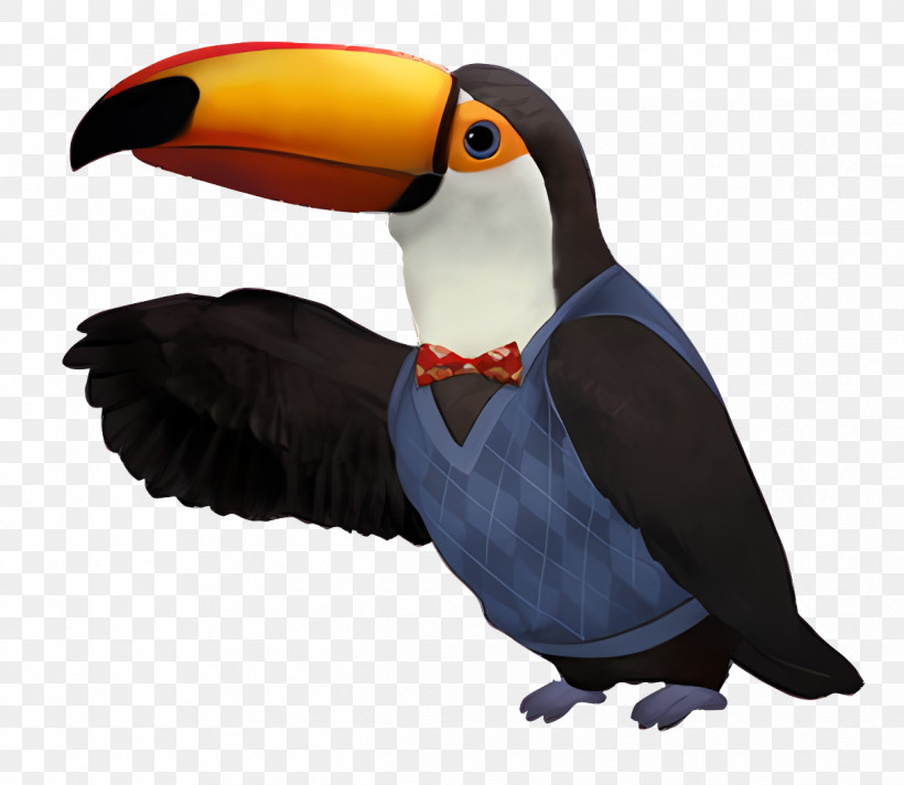 3rd And Bird - Toucan In Bow Tie Cartoon Design PNG