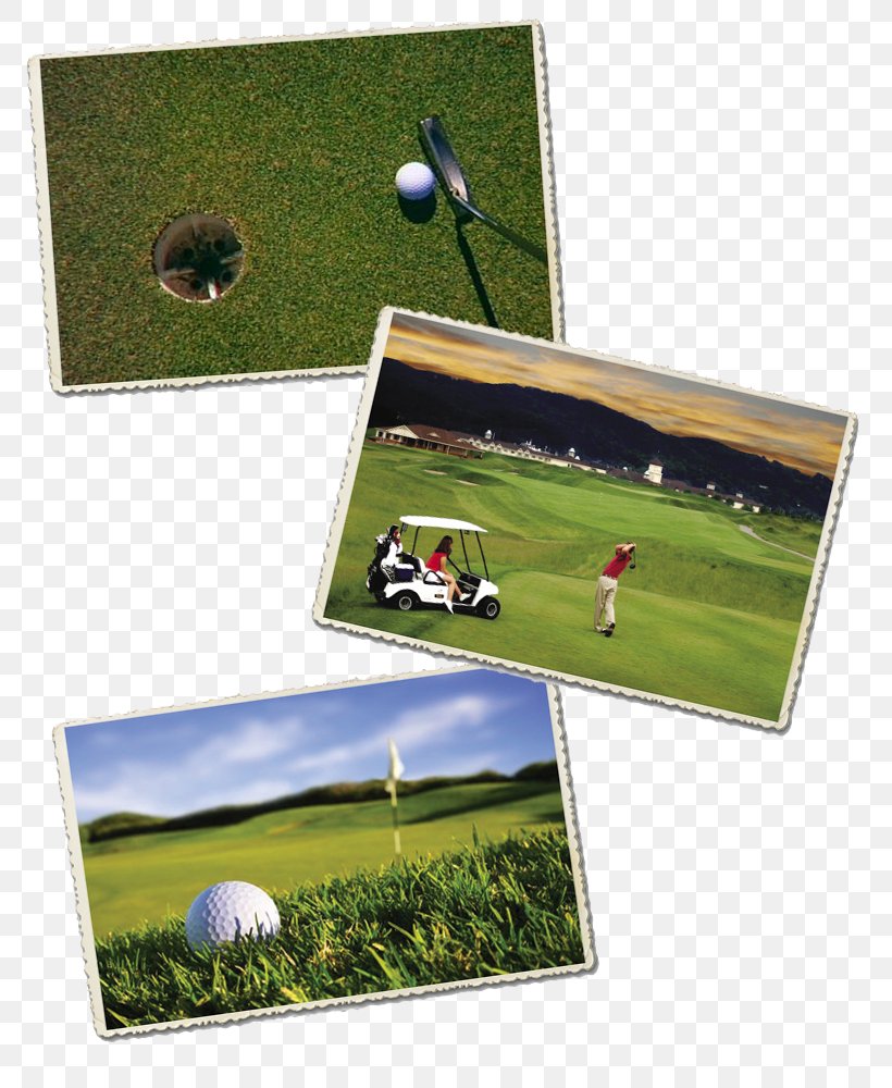 Golf Balls LCD Television, PNG, 800x1000px, Golf, Exchange Rate, Golf Balls, Grass, Lcd Television Download Free