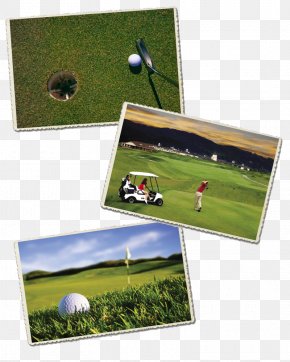 Golf - Golf Balls LCD Television PNG